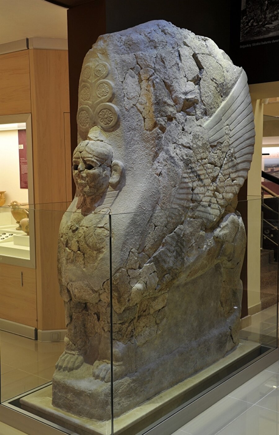 Boğazköy Sfenksi
M.Ö. 1.300 yıllarına, Hitit İmparatorluk Dönemine ait Sfenks, yaklaşık 3.300 yaşında. Kireçtaşından yapılan eser 2,5 metre boyunda, 1,75 metre eninde ve 1.700 kg. ağırlığında.

1906-1912 yılları arasında Boğazköy'de, Müze-i Hümayun başkanlığında ve Alman heyet üyelerinin de katılımıyla yapılan kazılarda Hitit Kraliyet Arşivine ait 10.400 civarında tablet ve iki sfenks bulundu. 

Yapılan anlaşma sonucu, tabletler ve sfenksler, temizleme, onarım ve yayın çalışmaları için -iade edilmek üzere- Alman kazı ekibi üyeleri tarafından Berlin'e götürüldü. Eserlerin bir kısmı iade edildi ancak Boğazköy Sfenksi Almanya'da kaldı. 1938'e kadar eserin iadesi için görüşmeler devam etti. Ancak II. Dünya Savaşı'nın başlaması ve savaş sonrası Berlin Müzelerinin Doğu Almanya'da kalması nedeniyle ilişkiler kesildi. Türkiye, 1973 yılında Doğu Almanya'yı resmi olarak tanıdı ve 1974'te sfenksin iadesine ilişkin görüşmeler yeniden başladı. 

Yıllar süren temasların ardından, 2011'de Ankara ve Berlin'de gerçekleştirilen toplantılar sonucu, anlaşma sağlandı ve Temmuz 2011'de eser iade edildi. Sfenks, diğer eşiyle birlikte Boğazköy Müzesinde sergilenmeye başlandı. 