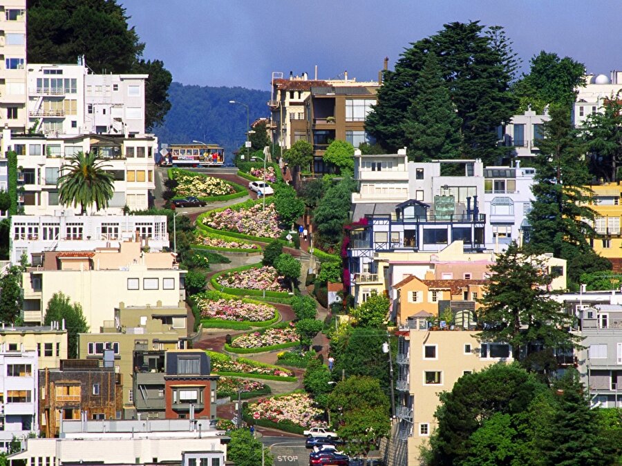 Lombard Caddesi / San Fransisco (ABD)

                                    Turistlerin ortak buluşma noktası olarak kabul edilen bu cadde San Fransisco'da bulunuyor. Bu kıvrımlı cadde Lombard Caddesi sakinleri tarafından gurur kaynağıymış. Fakat hız sınırı 8km.
                                