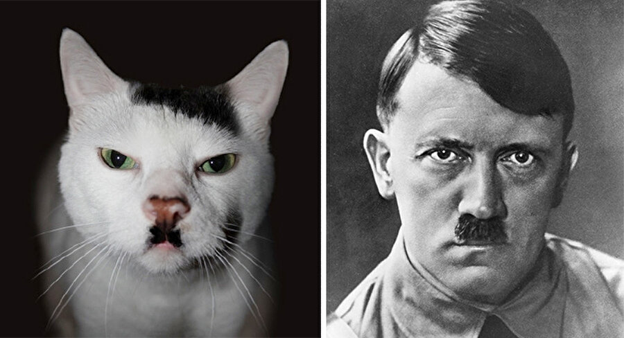 Adolf Hitler
Hafızamızda iyi yer etmeyen bir benzerlik olsa gerek