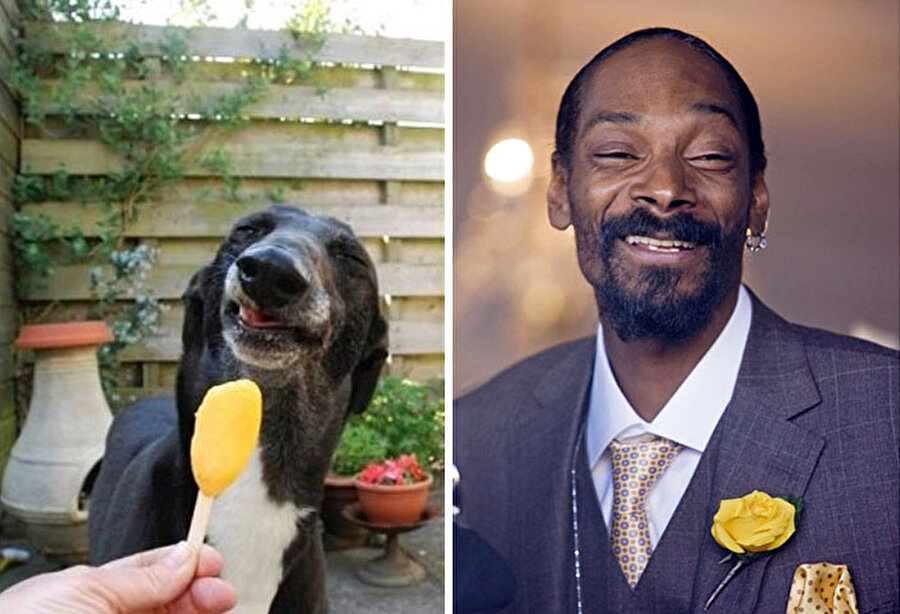Snoop Dogg
Bu çalışmanın tesadüf olmadığını kanıtlamak için bir kez daha Snopp Dogg'a yer verdik :)