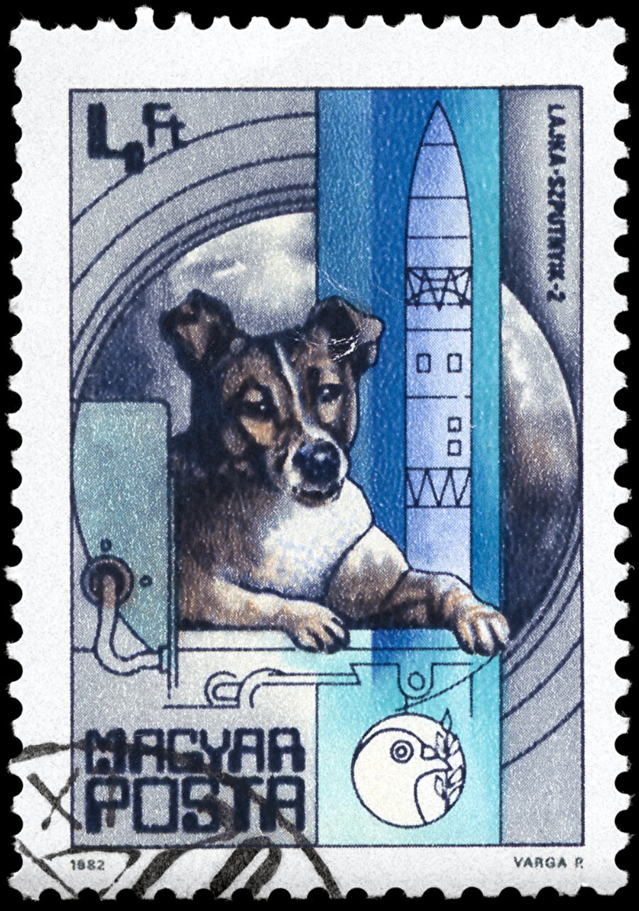 Sokak köpeği Laika, Dünya dışına çıkan ilk dünyalı oldu. Fakat bu unvanın bedelini hayatıyla ödedi. Laika'nın anısına pullar basıldı ve yıllar sonra heykeli dikildi. Dünya Laika'nın bu acıklı hikayesini unutmadı.