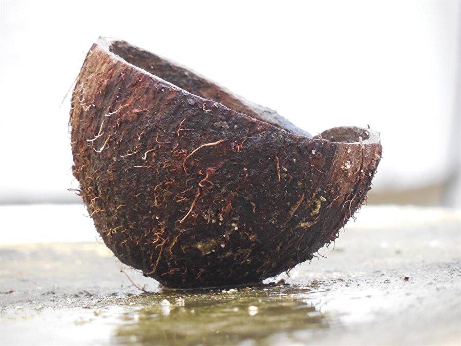 Karın yağlarınızdan kurtulun

                                    Hindistan cevizinin faydaları saymakla bitmiyor. Karın yağlarının erimesinde ciddi anlamda etkili olan coconut aynı zamanda karındaki yağların neden olduğu hastalıkların tedavisinde de kullanılmakta.
                                