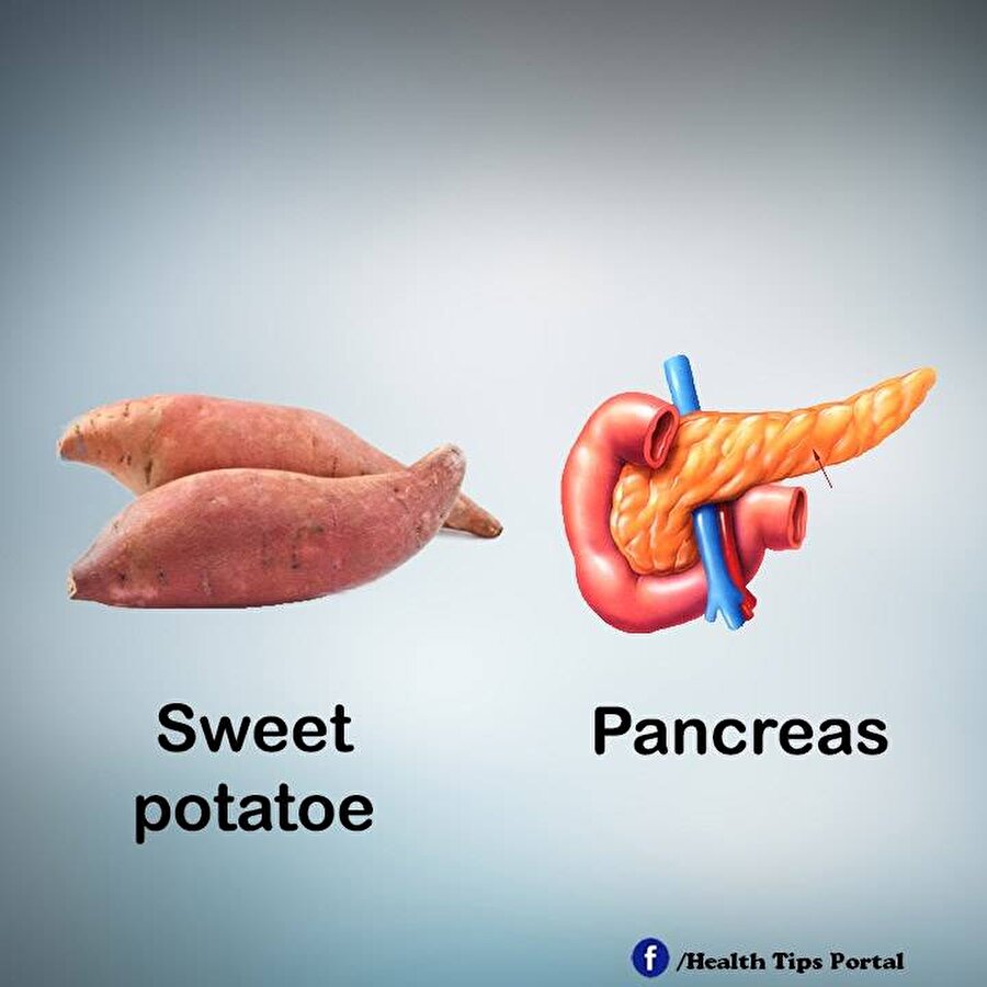 Patates/Pankreas
