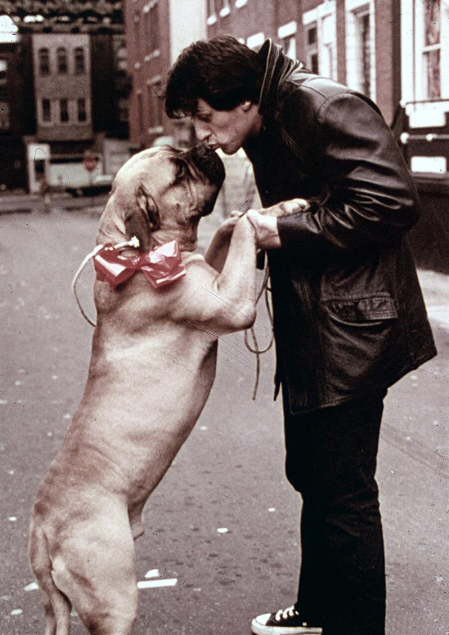 Stallone bu paranın 15.000 dolarını köpeği Butkus'u geri almak için harcamıştır. 

                                    
                                    
                                    
                                    
                                    
                                    
                                
                                
                                
                                
                                
                                