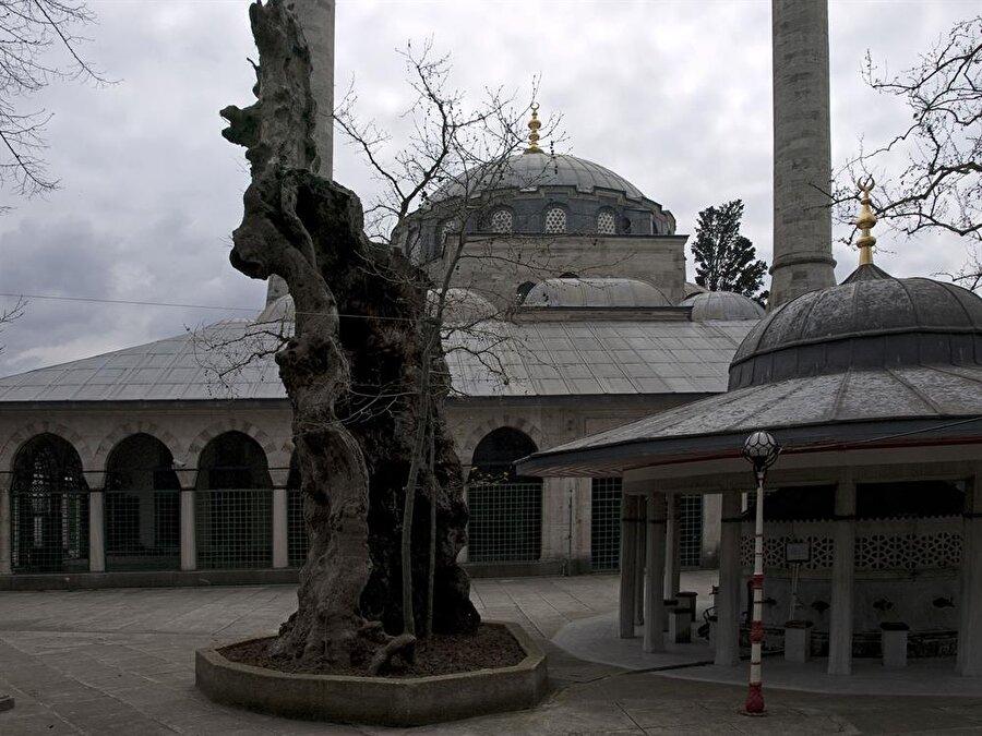 Eski Valide Camii

                                    
                                    
                                    Eski Valide Camii ve Külliyesi, İstanbul'un tarihi semtlerinden Üsküdar'dadır. II. Selim'in eşi, III. Murat'ın ise annesi Afife Nur-Banu Valide Sultan tarafından Mimar Sinan'a yaptırılmıştır. 1583 yılında yapılan eserin içinde cami, külliye, medrese, tekke, sıbyan mektebi, kervansaray, hamam, darülkurra, darüşşifa bulunur.
                                
                                
                                