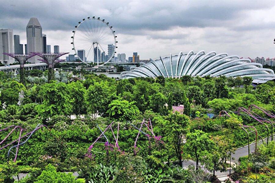Gardens By The Bay 

                                    Singapur'da yer alan Gardens By The Bay, hükümetin bir projesidir. Şehirlerde, yeşil alanları arttırmak için planlanan projenin tasarımı için 2006 yılında bir yarışma düzenlendi. 24 ülkeden 170 firmanın katıldığı yarışmayı iki İngiliz şirketi kazandı. Söz konusu projeyi şirketler birlikte tamamladı. Konservatuar binasının üzerine inşa edilen bahçe 2012'de tamamlandı. Proje için yaklaşık 58.000.000 dolar harcandı.
                                
