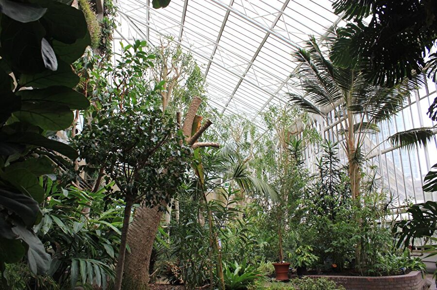 Barbican Conservatory

                                    Barbican, Londra'da bulunan dünyanın en büyük sanat merkezidir. İçerisinde konser salonu, tiyatro ve galeriler bulunan binanın çatısında ise ilgi çekici bir bahçe var. Bahçede iki binden fazla çeşit bitkinin olduğu biliniyor.
                                