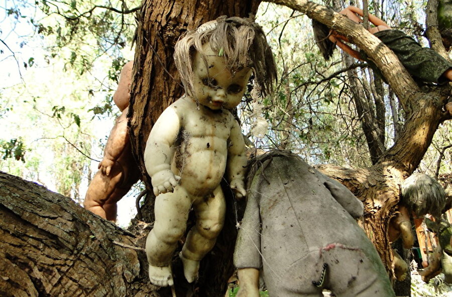 Don Julian Santana'nın kuzeni Anastasio yıllar sonra buraya gitmeye karar veriyor.