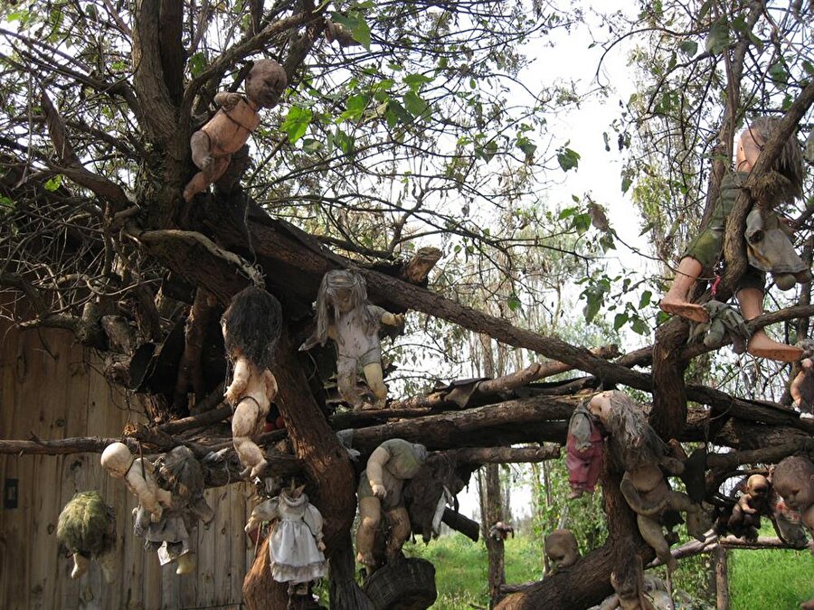 Bunun üzerine Santana kendisini boğulan kızın ruhundan korumak için çöplerden ve sokaklardan bulduğu oyuncak bebekleri toplayıp ağaçlara asmaya başlar.