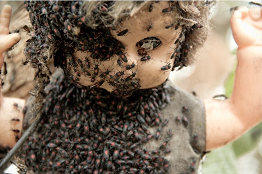 Belli süre sonra ada'da yaşananları duyan dünyanın farklı yerlerindeki turistler Meksika'ya "Las Munecas" adasına akın ediyor.