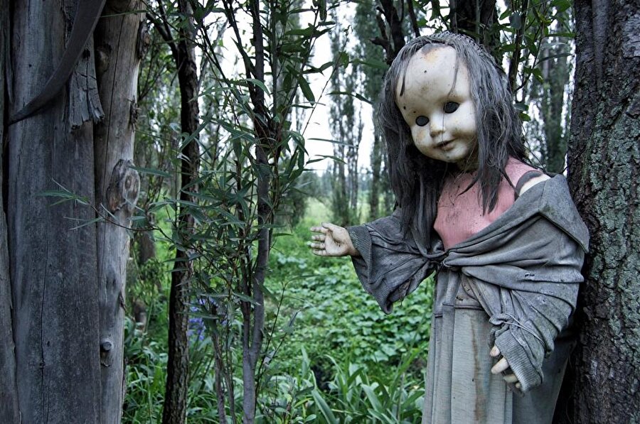 Anastasio bebeklerin geceleri canlandığını da iddia ediyor. Kafalarını kıpırdatıp birbirlerine bir şeyler fısıldadığını dile getiren Anastasio o yüzden geceleri adayı ziyarete kapatıyor. Yine'de bu rahatsız edici adayı gezmek sizi mutlu eder mi tabi o da sizin kararınız...