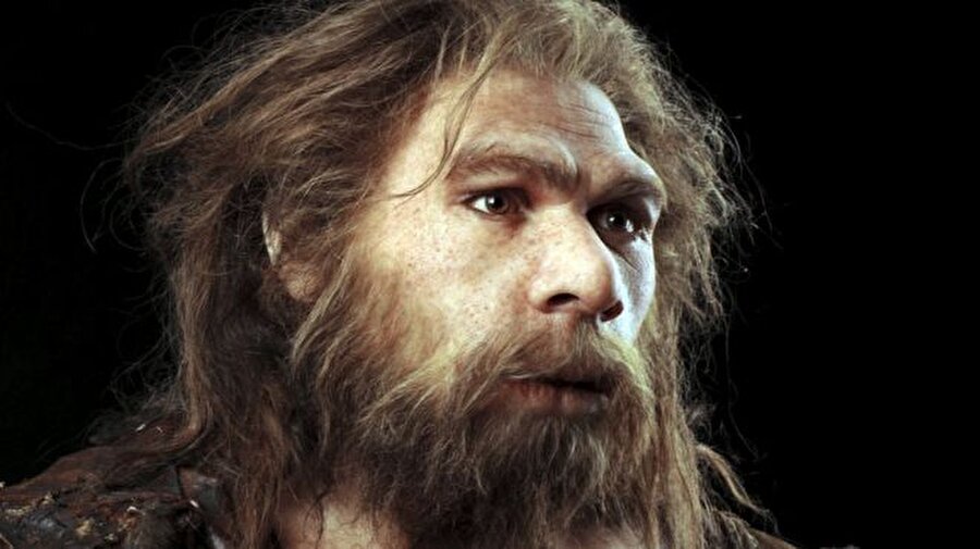 
                                    
                                    Neandertaller, günümüz insanı gibi ayakta dik bir şekilde duramıyordu. Modern insandan hızlı, güçlü, uzun yüzlü, iri dişli olmaları birçok tartışmaya neden oldu. Bu özellikler Neandertallerin atalarımız olmadığına dair söylentilerin dolaşmasına neden oldu. Ancak zamanla yapılan araştırmalar ve bulunan bulgular Neandertallerin atalarımız olduğu yönündeydi. Neandertallerin bedensel özelliklerininse zamanla değiştiği ve modern insana dönüştüklerinin kanıtıydı.
                                
                                