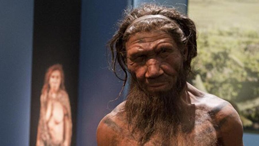 
                                    
                                    Neandertaller de, modern insanlar gibi hem et hem ot tüketiyordu. Kontrol altına aldıkları ateşle etleri pişiriyorlardı. Ölülerine tören düzenleyen Neandertaller ayrıca ölünün eşyalarını da onunla birlikte gömüyorlardı. Nitekim şempanzelerde de ölü yakınlarına taziye gibi özellikler gözlenmiştir. Ancak insan türü dışında ölüyü eşyalarıyla gömen bir davranışa başka bir türde rastlanmamıştır.
                                
                                