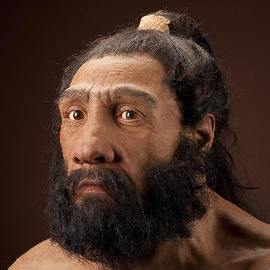 
                                    
                                    Günümüzden tam  50.000 yıl kadar önce yok olan Neandertalleri geri getirmeyi becerebilirsek onların özellikleri hakkında daha sağlıklı veri elde edilebilirdi. Ancak etik değerler nedeniyle bu tür bir araştırma uzun süre bekleyecek gibi.
                                
                                