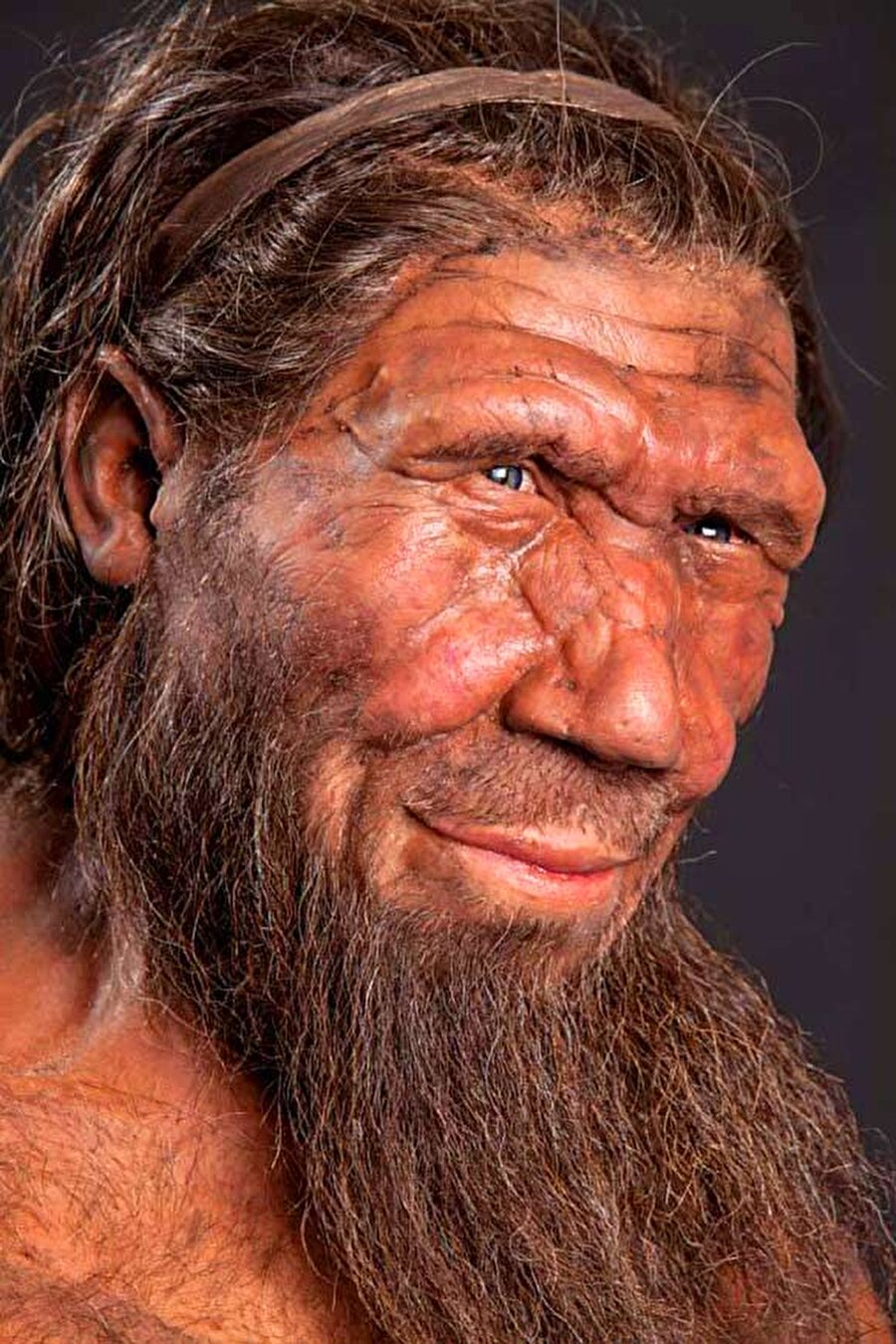 
                                    
                                    Peki Neandertaller nasıl ortadan kayboldu? Bununla ilgili birçok sebep ortaya atılsa da çok farklı birleşenlerin bu durumu ortaya çıkardığı ortadaydı. Modern insanın Neandertallerin yaşam alanlarını işgal etmesi hatta onları öldürmesi türün neslinin tükenmesine neden oldu. Bunun yanında Buzul çağı'nın sona ermesine adapte olamamaları, besin kaynaklarının değişmesi, avladıkları besinlerin azalması gibi birçok neden bu türün yok olmasına neden oldu. Bazı bilim insanlarının görüşüne göre ise Neandertallerin yok olmadığı, modern insanla çiftleşerek asimile oldukları yönündeydi. Anlaşılan bilim adına bu tartışma ve araştırma yeni bulgulara erişilene kadar devam edecek.
                                
                                