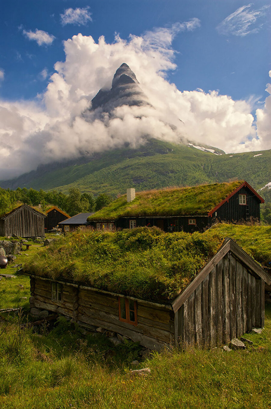 Renndølsetra, Norveç

                                    
                                    
                                
                                