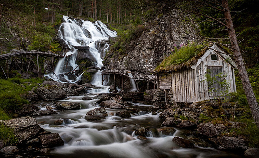 Kvednafossen Şelalesi, Norveç

                                    
                                    
                                
                                