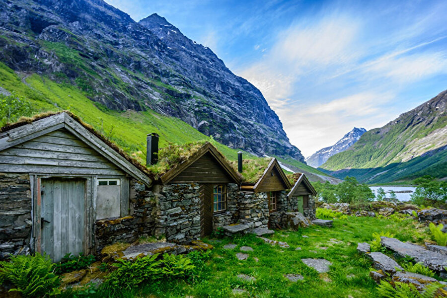 Geiranger, Norveç

                                    
                                    
                                
                                