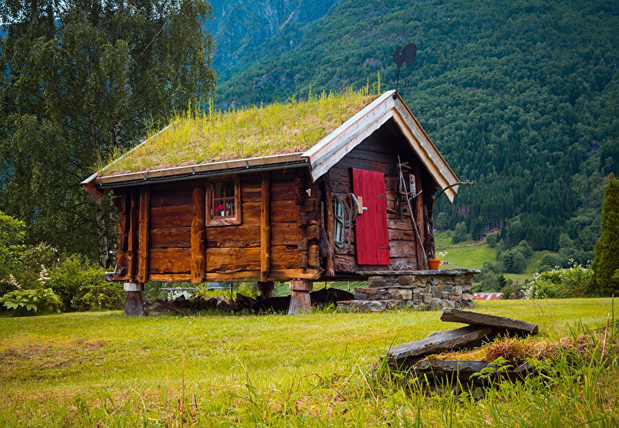 Skjolden, Norveç

                                    
                                    
                                
                                