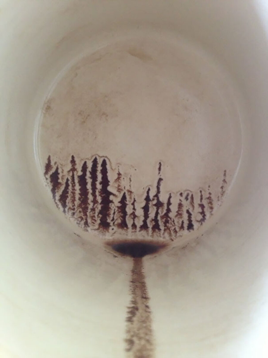 Kahve falından çıkan silüet ağaçlar
