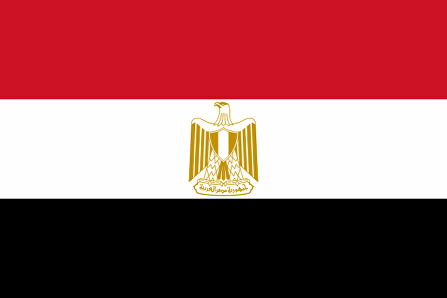 Mısır

                                    
                                    
                                    
                                    
                                    
                                    
                                    
                                    
                                    Kırmızı, beyaz ve siyah: Arap halkları

 Altın kartal: Selahaddin Eyyubi'yi temsil eder.

                                
                                
                                
                                
                                
                                
                                
                                
                                