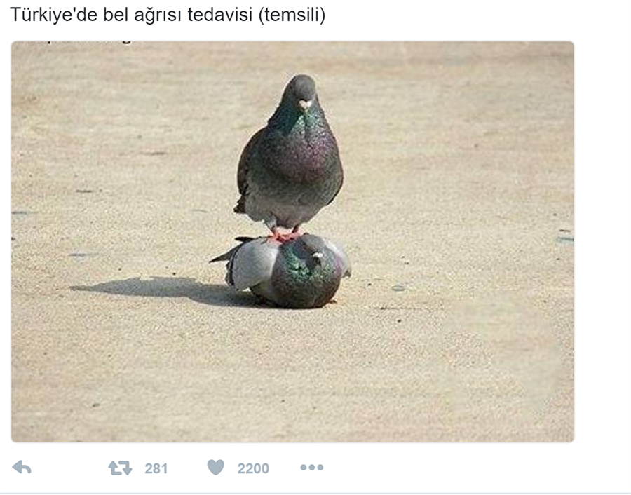 Listede dördüncü sırada benzetme yönleriyle kendilerine hayran bırakanlar var.