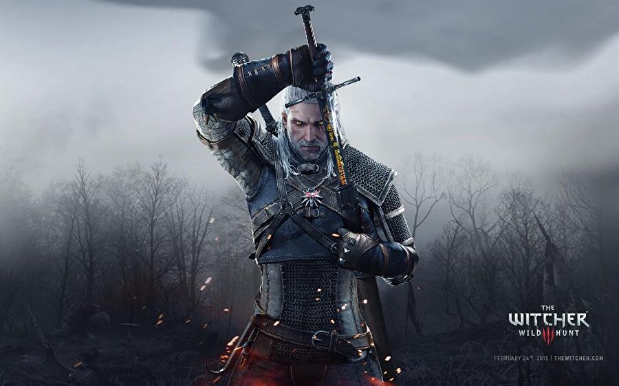 The Witcher Wild Hunt 

                                    
                                