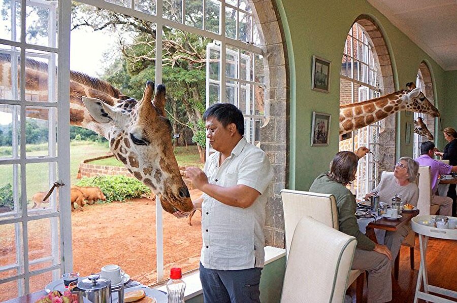 Giraffe Manor, Kenya

                                    
                                    
                                    
                                    
                                    Zürafa dolu bu otelde, doğayla iç içe harika bir tatil yapabilirsiniz.
                                
                                
                                
                                
                                