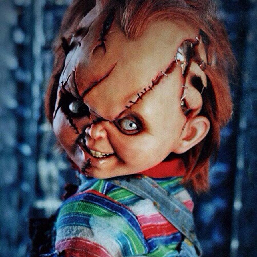 Chucky!!!

                                    
                                
