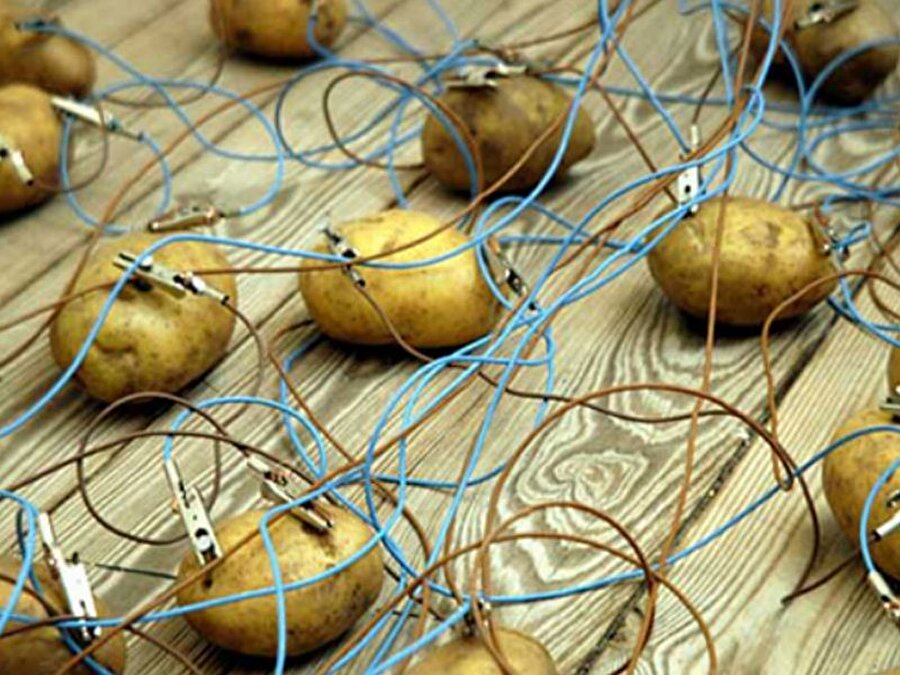 Kabloları birleştirin

	Ardından patatesleri kablolar vasıtasıyla birleştirin (Kabloların bir ucu bakır, bir ucu çinko pula değecek şekilde).
