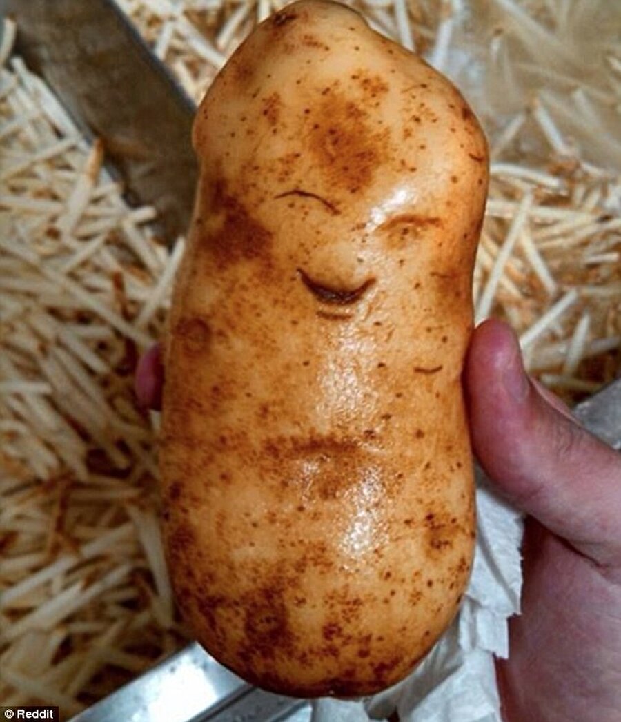 
                                    
                                    
                                    
                                    Pazar tezgahından patates seçerken böyle sevimli bir patatesi kızartmaya kıymayabilirsiniz.
                                
                                
                                
                                
