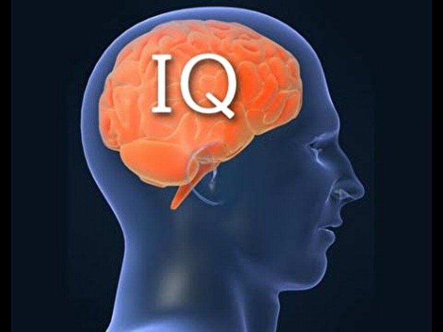 100'den yüksek IQ seviyesi

                                    
                                    IQ ölçüsü bir zeka gösterme biçimi olarak kullanılıyor.
                                
                                