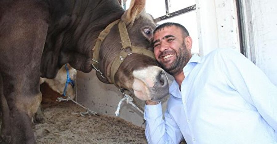 Kurban Bayramı - VAHŞET!!!

                                    
                                    
                                    İslam dini terimi olarak Kurban, Allah'a yaklaşmak ve Allah rızasına ermek niyetiyle kesilen, kurban edilen, hayvan demektir. Kuran'da geçen İbrahim peygamber ve oğlu İsmail ile ilgili kıssadan yola çıkarak, kurban kavramı, çok daha genel bir adanmışlığı, Allah için bireyin her şeyini feda edebilecek olmasını, Allah'a teslimiyeti ve ona karşı şükür içinde olmayı ifade etmektedir. 

Kur'an 'da Hac Suresinde geçen şu ayet, kurbanın islam inancındaki yerini özetler:

"Onların etleri ve kanları asla Allah'a ulaşmaz. Allah'a ulaşacak olan ancak, sizin O'nun için yaptığınız, gösterişten uzak amel ve ibadettir." (Hacc 22/36;37)

                                
                                
                                