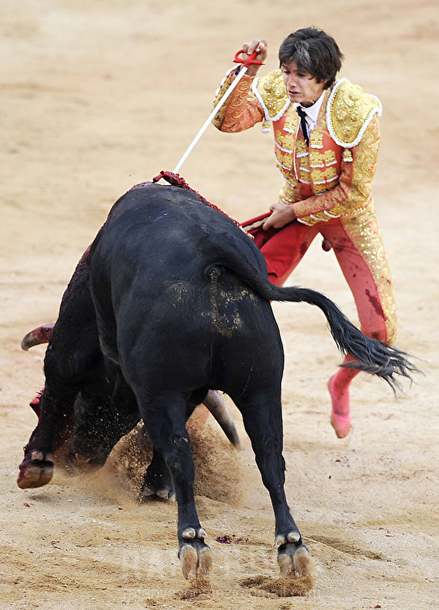 Boğa Güreşi - Spor

                                    
                                    
                                    Boğa güreşi: İki boğanın çeşitli amaçlarla güreştirilmesini ya da matador adı verilen bir insanın boğayı gittikçe yorup öldürmesini esas alan eğlence ve yarışma biçimi.
                                
                                
                                
