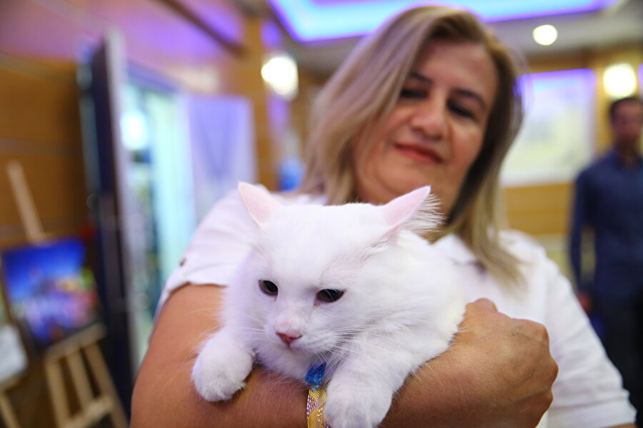 Ankara’da düzenlendi

                                    Festivale, Abdurrahim Karakoç Kültür Merkezi ev sahipliği yaptı. Etkinlik, Azerbaycan Halk danslarının gösterileriyle başladı.
                                