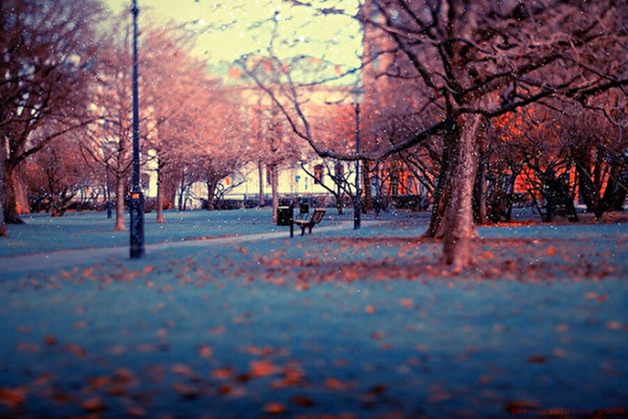 Hilmi Yavuz - Eylül

                                    Eylül, daha çocukluğumdan

 beri size bakardım ben

 bir yazın azalmakta olan

 sözcüklerinden nasıl da

 ansızın dökülürdünüz

 bahçelerle ve kül

 dolardı içim… eylül!

  

 eylül! Kırılgan mevsim!

 cam hançeri güzün 

 dağılırdı kalbimde

 birden gecenin ve gündüzün 

 perdesiyle örtülürdünüz 

 tenhayla ve tül

 dolardı içim… eylül!

  

 eylül! Unuttum sizi

 dağ kızarır yol sarardı 

 ve ben dönüşlere bakardım o amanvermez belleğin 

 paramparça güldüğüydünüz 

 aynalarla ve gül

 dolardı içim… eylül!

  

                                