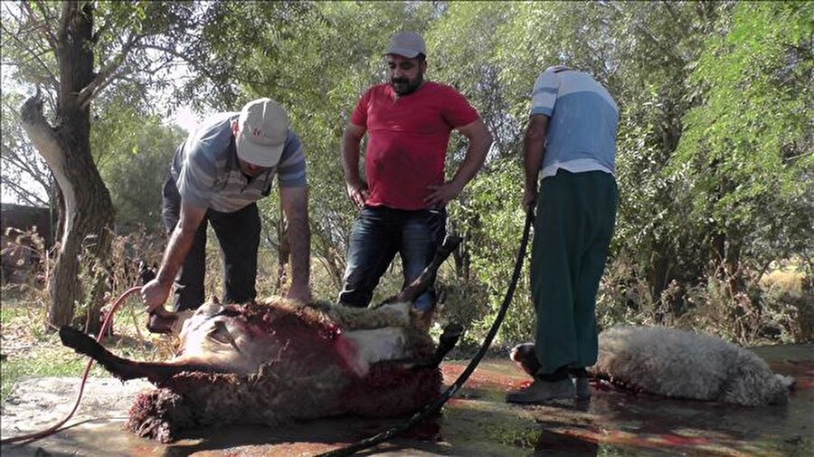 Sokakta et parçalamak yasak!
Bakanlık, bayramda sokaklarda et parçalamayı ve kıyma çekmeyi yasakladı. Ruhsatı olmayan hiçbir yerde et kestirme, parçalama işlemi yapılamayacak. 