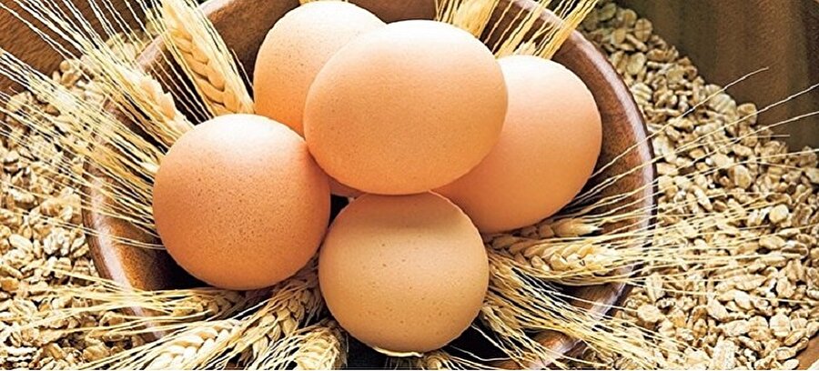 Organik yumurta nasıl olur?
Bir yumurtanın organik olabilmesi için tavukların serbestçe dolaşmasının yanı sıra, organik yem ile beslenmesi, tavukta ve yumurtada kalıcı kimyasalların olmaması, bunların yetkili kurumlarca denetlenip belgelenmesi gerekiyor.
