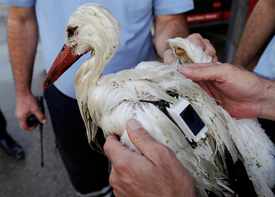 2 bin 600 kilometre sorun yaşamadan uçtu, Mersin'de vuruldu.