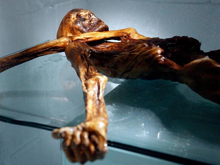 SON ÖĞÜNÜ

                                    Araştırmacılar Ötzi'nin midesi üzerinde yaptıkları araştırmalarda ölümünden kısa süre önce ne yediğini bile ortaya çıkarabildi. Son öğünü yağlı ve besleyiciydi. Keçi eti ve tahıllardan oluşuyordu.

                                