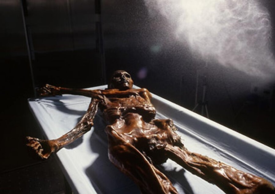 3 BOYUTLU İKİZİ YAPILDI

                                    Taş devri mumyası Ötzi çok istisna bir keşif olsa da daha çok insanın bundan mahrum kalmaması için 2016 Nisan'ında 3 boyutlu bir yazıcı aracılığıyla balmumundan Ötzi'ye tıpa tıp benzeyen bir ikiz mumya hazırlandı. Ötzi'nin ikizi ABD'nin New York eyaletindeki Cold Spring Harbor Laboratuvarı'na götürüldü.

  

 KAYNAK:DW Türkçe

                                
