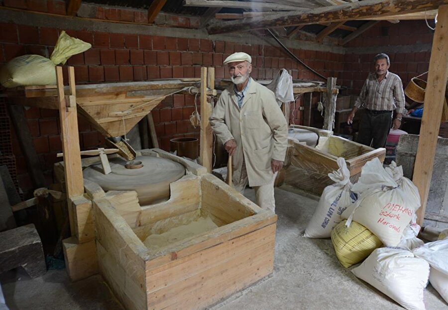 Tomak, çok müşterisi olduğunu ve yıllardır bilinen bir değirmeni işlettiğini anlatarak şunları söyledi:

"Espiye, Yağlıdere, Tirebolu, Giresun merkez gibi yerlerden buraya geliyorlar. Mısırlarını burada öğütüyorlar. Buranın sayesinde herkesin işini yapmaya çalışıyoruz. Bu değirmencilik burada kolay değil ama Allah'ıma şükür olsun. Bu tarz değirmen çok lezzetli un öğütür. Ununun güzel olması ve unundan yapılan ekmeğin tatlı olması memlekette değirmenin ününü çoğalttı. Memlekette daha değirmenci yok. Giresun'dan bu yana herkesin mısırı burada öğütülüyor. Daha derelerde eskisi gibi değirmen yok."

Bir günde 20 çuvaldan fazla mısır öğüttüğünü aktaran Tomak, gün içerisinde sürekli çuvallarla mısır geldiğini ve hızlı olmak zorunda olduklarını vurguladı.

Tomak, nakliyat işiyle geçimini sağlayan oğlunun da kendisine yardımcı olduğuna işaret ederek "Ustaların yanı sıra oğlum da buranın yapımında bana yardımcı oldu. Değirmenin bina yapımında tuğla, çimento, demir gibi malzemeleri oğlum buraya taşıdı. 7 çocuğum var. Hem kendi işleri hem de değirmen sayesinde yuvalarını kurduk. Geçim anlamında buranın bize katkısı büyük." dedi.
