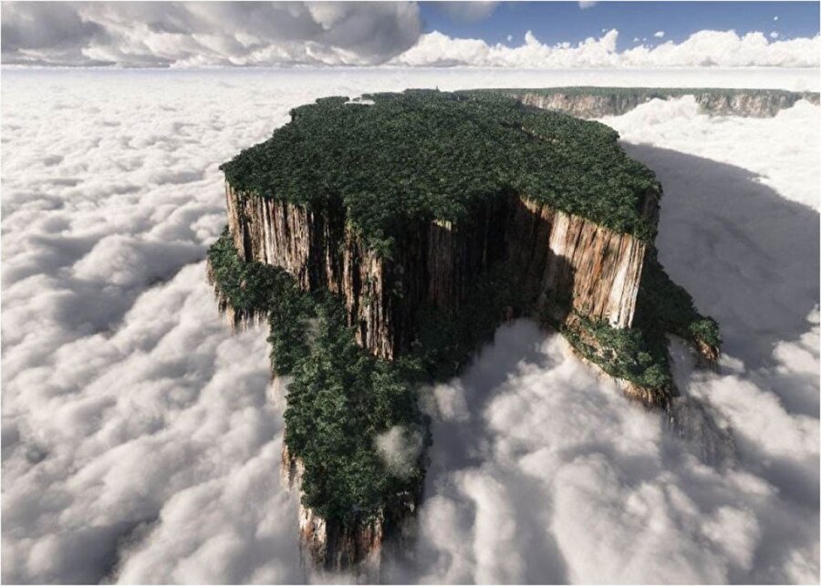 Roraima Dağı / Venezuela

                                    
                                