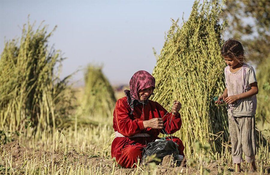 Gördüğü her Türkiye vatandaşını bağrına basan ve "Hoş geldiniz" diye karşılayan Fatma İbrahim (65) de diğer Cerabluslular gibi adeta ikinci bir baharı yaşıyor. 

Terör örgütünün sadece siyah kıyafet giymelerine izin vermesini, "Hayatımızı da ruhumuzu da kararttılar" sözleriyle nitelendiren İbrahim, yaptığı açıklamada, Cerablus'un terör örgütünün kontrolünde olduğu dönemleri, "Allah o günleri kimseye yaşatmasın." ifadeleriyle anlattı.

