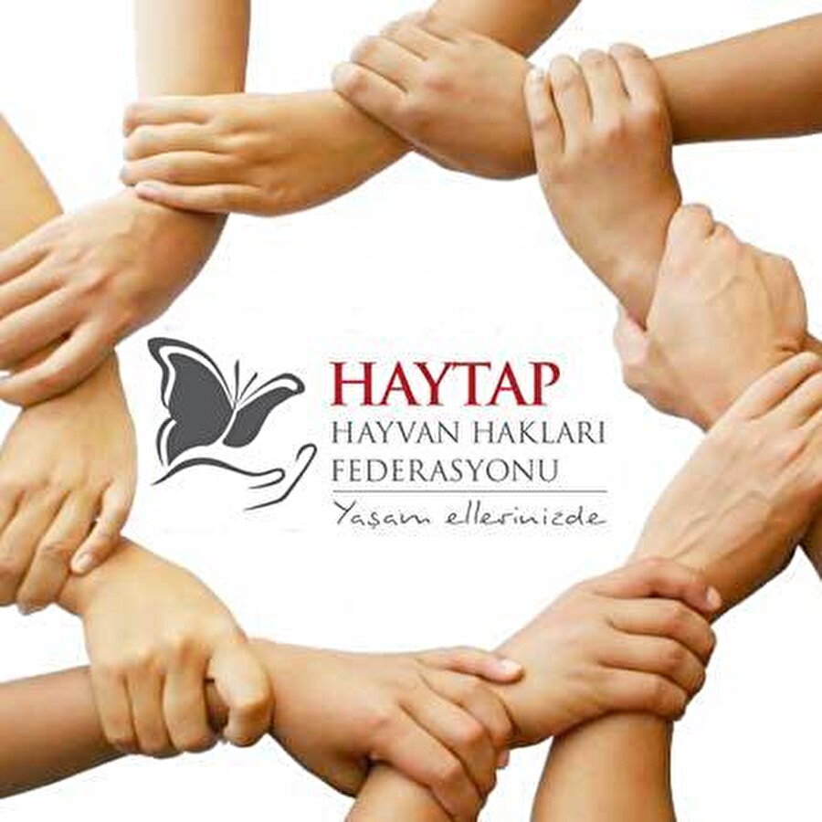 HAYTAP'tan mesaj var!
Vakıf "Hayvanların acı çekmelerine, ölümlerine sebep olan tüm kişi ve kurumlar bilmelidir ki 5199 sayılı yasa 3 taksitle ödenebilen Kabahatler Kanunundan çıkıp ceza kanununa girinceye, benzin istasyonlarında bile bulunan yaban hayvan koleksiyonculuğu bitinceye, sınırlarımızda tutsak yunuslar özgürlüğüne kavuşuncaya ve hayvanlı sirkler, dövüşler yasaklanıncaya kadar HAYTAP Hayvan Hakları Federasyonu olarak mücadelemiz devam edecektir. Hayvanların işkencelerine el birliğiyle son vermeye çalışan HAYTAP Hayvan Hakları Federasyonu, hayvanları korumak için sadece bir gün olarak değil, kalbinde vicdan taşıyan herkesi 365 gün boyunca en azından var olan yasalara uymaya ve merhamet etmeye davet ediyor" açıklamasında bulundu. 