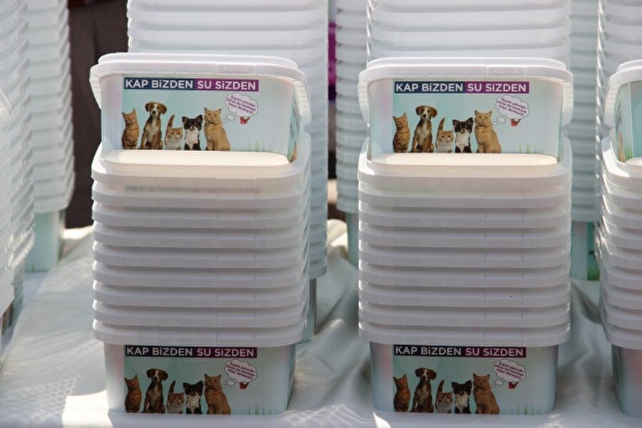 Sokak hayvanları için 5 bin kap 

                                    
                                    
                                    Van'da “Bir kap su da sen ver” kampanyası kapsamında, 5 bin adet kap dağıtıldı. 
                                
                                
                                