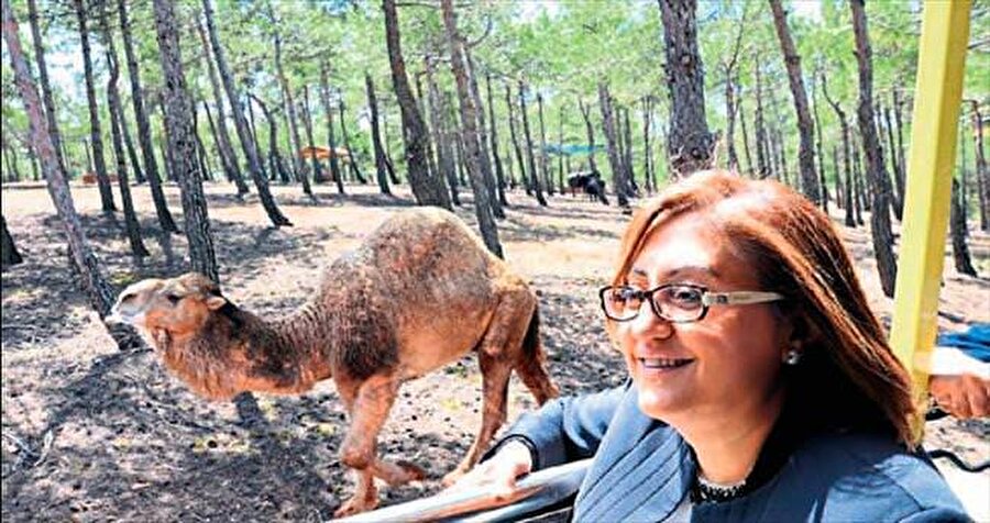 Gaziantep'te de hayvanlar adına bir etkinlik düzenlendi

                                    
                                    
                                    Gaziantep'te de hayvanlar adına bir etkinlik düzenlendi. Büyükşehir Belediye Başkanı Fatma Şahin, 4 Ekim Dünya Hayvanları Koruma Günü dolayısıyla Gaziantep Hayvanat Bahçesi'ni ziyaret etti. 
                                
                                
                                