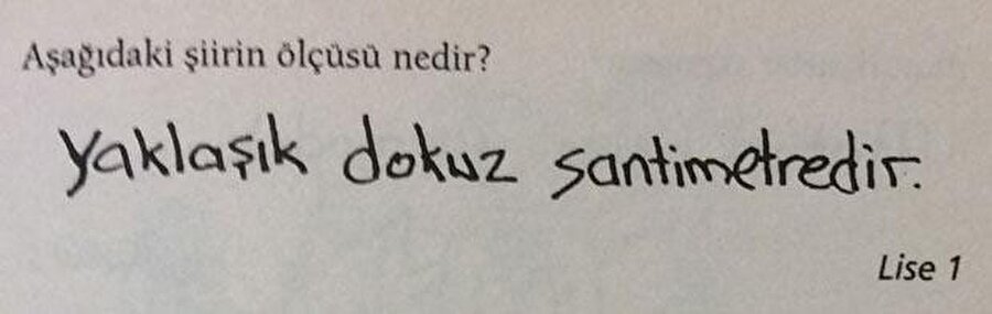 Beyni yanmış bir edebiyat öğrencisi
