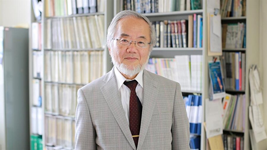 Kısaca kimdir?
Japonya'nın Fukuoka kentinde 1945'te dünyaya gelen Ohsumi, 1974'te Tokyo Üniversitesinde doktorasını tamamladı. New York'taki Rockefeller Üniversitesinde üç yıl çalışmalar yapan Ohsumi, daha sonra Tokyo Üniversitesine dönerek 1988'de otofaji mekanizmasıyla ilgili çalışma grubunu oluşturdu. Ohsumi, 2009'dan bu yana Tokyo Teknoloji Enstitüsünde görev yapıyor.