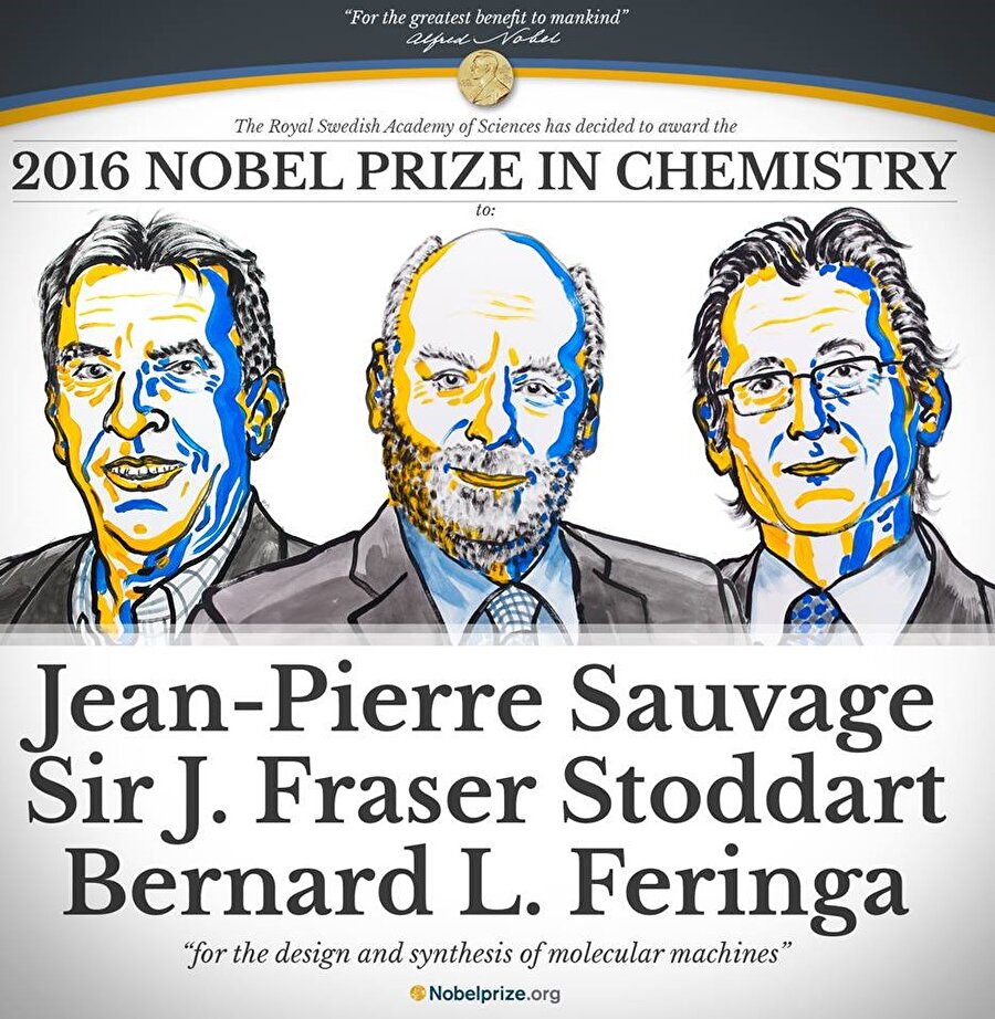 Ödül Alfred Nobel'in ölüm yıl dönümünde
Bilim adamlarına, Alfred Nobel'in ölüm yıl dönümü 10 Aralık'ta düzenlenecek ödül töreninde diploma ve altın madalya da verilecek.